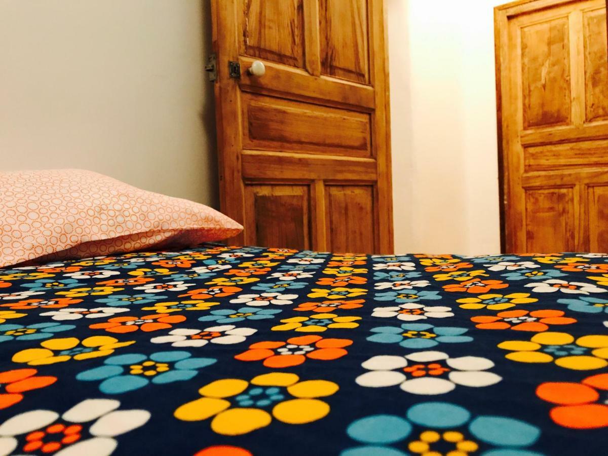 Apartmán Housica & Co. Ucciani Exteriér fotografie